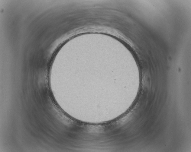 X0000083621498200702260940