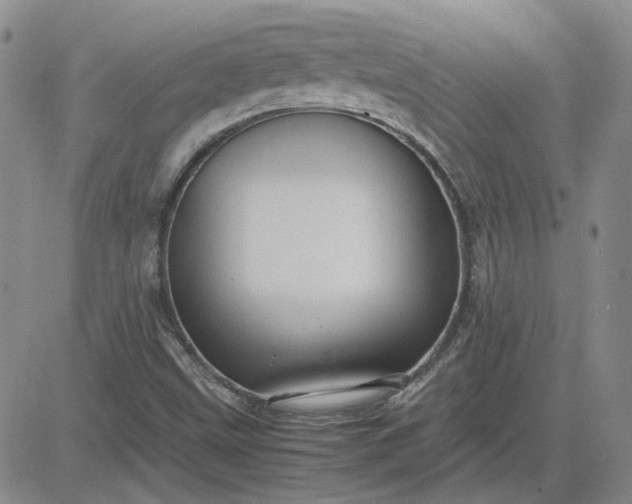 X0000083621499200702260940