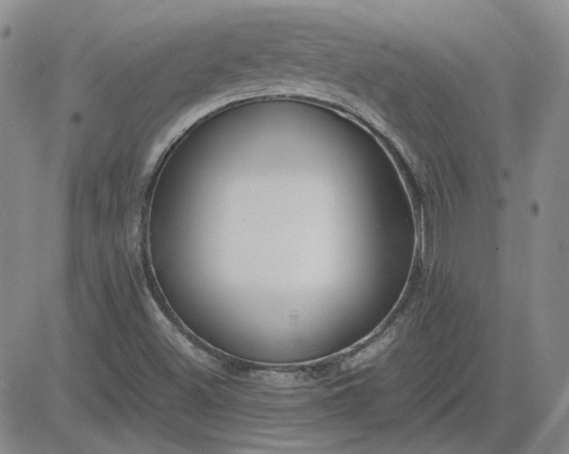 X0000083621500200702260940