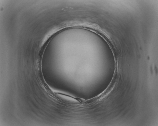 X0000083621501200702260940