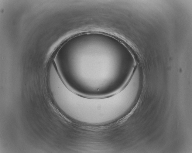 X0000083621502200702260940