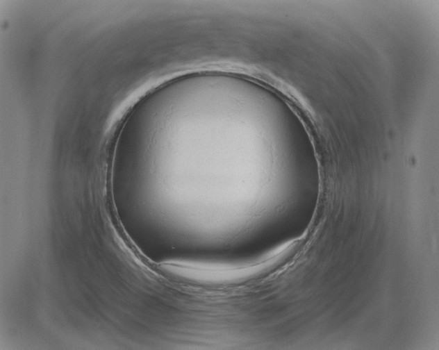 X0000083621504200702260940