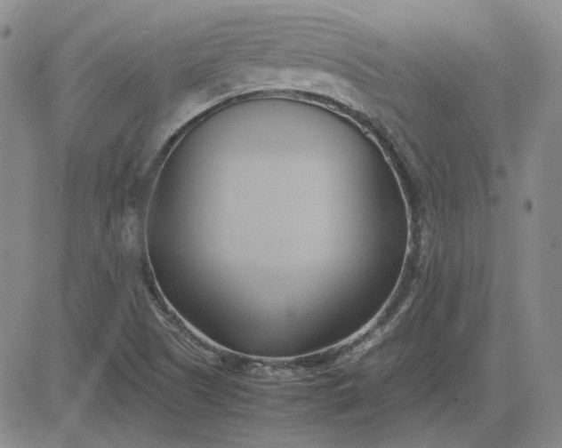 X0000083621505200702260940