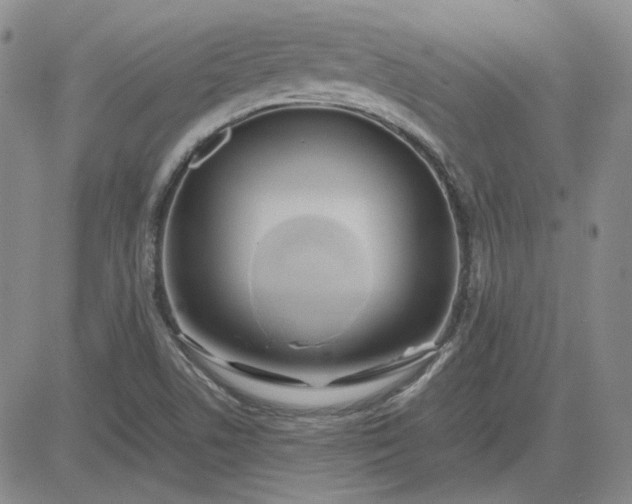 X0000083621506200702260940