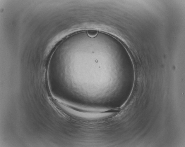 X0000083621507200702260940