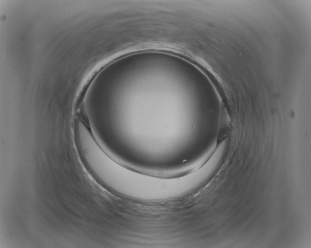 X0000083621508200702260940