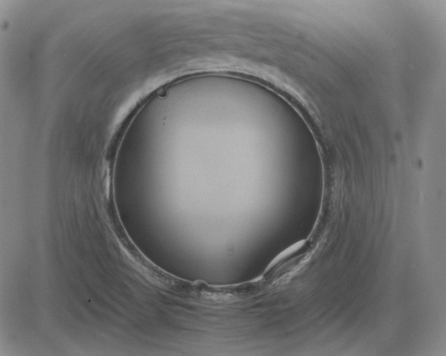 X0000083621509200702260940