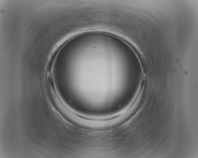 X0000083621510200702260940