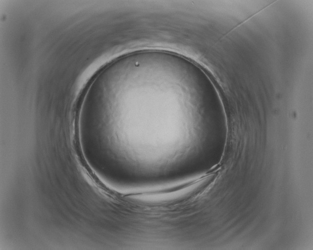 X0000083621511200702260940