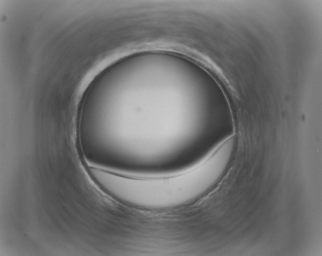 X0000083621512200702260940