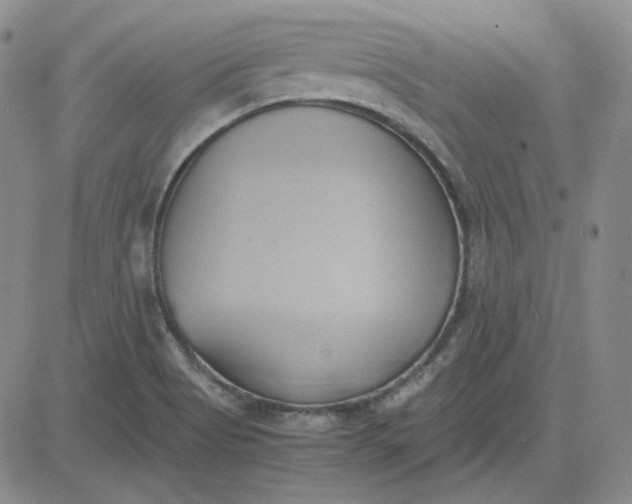 X0000083621513200702260940