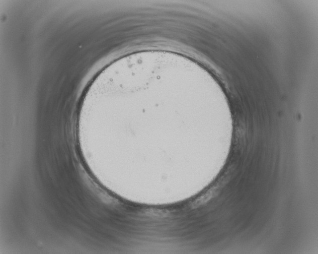 X0000083621514200702260940