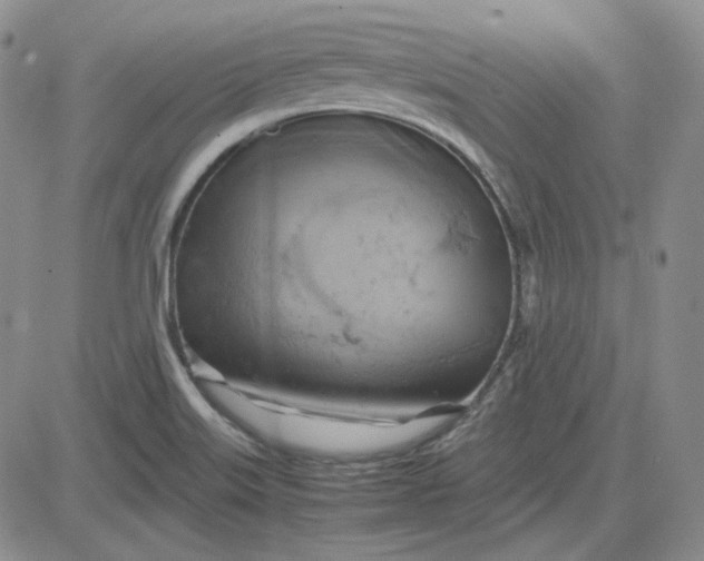 X0000083621515200702260940