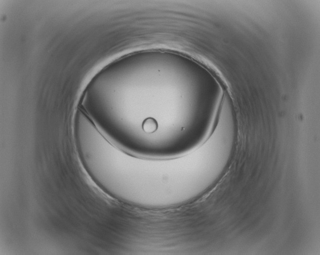 X0000083621516200702260940