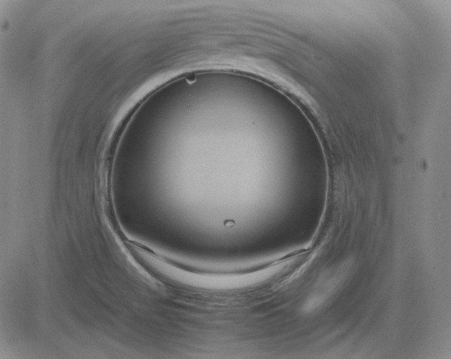 X0000083621517200702260940