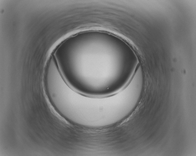 X0000083621518200702260940