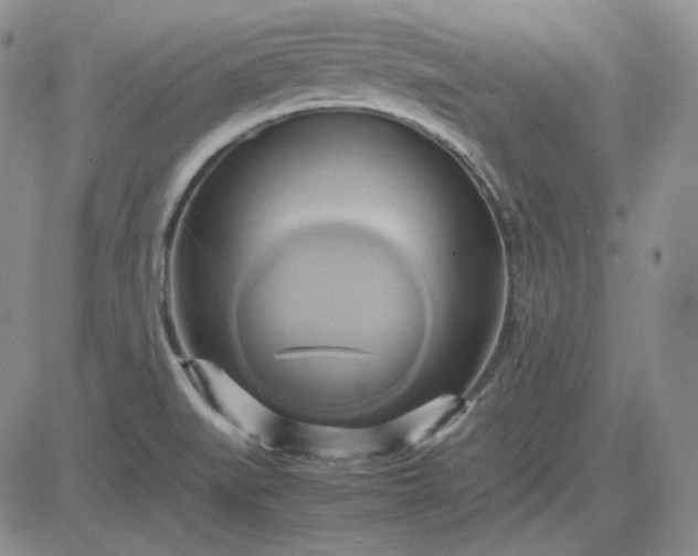 X0000083621519200702260940