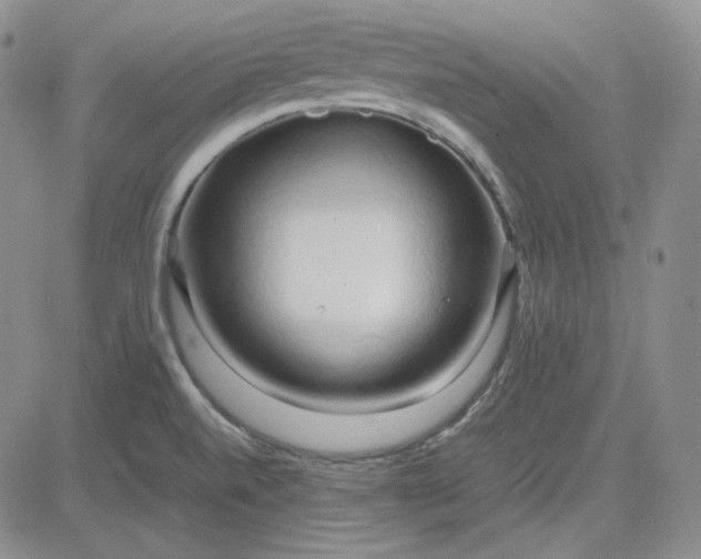 X0000083621520200702260940