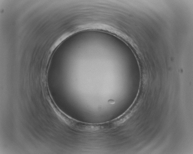 X0000083621521200702260940