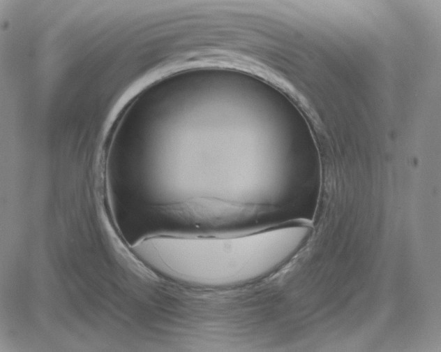 X0000083621522200702260940