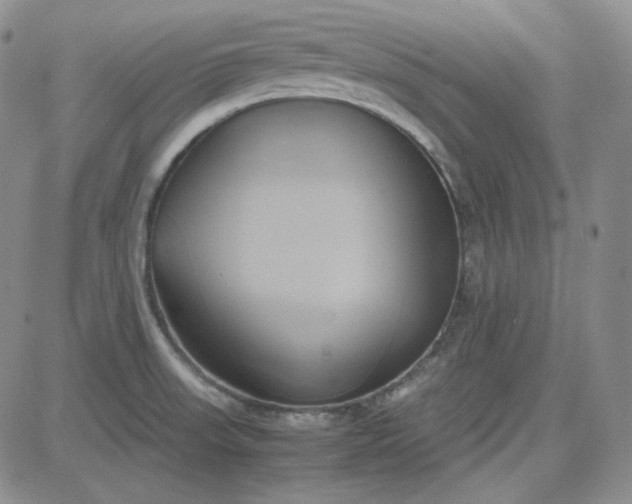 X0000083621523200702260940