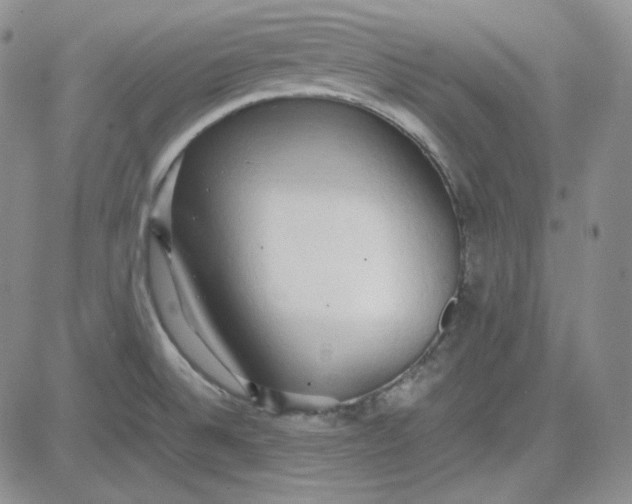 X0000083621524200702260940