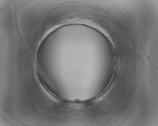 X0000083621525200702260940