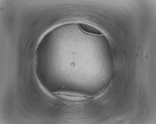 X0000083621526200702260940