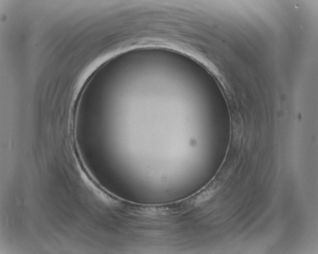 X0000083621527200702260940