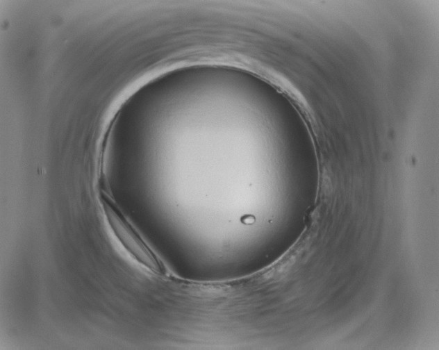 X0000083621528200702260940