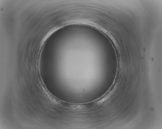 X0000083621529200702260940