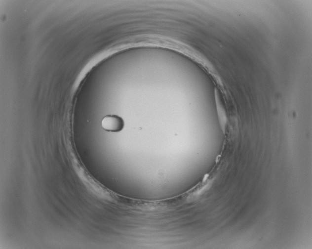 X0000083621530200702260940