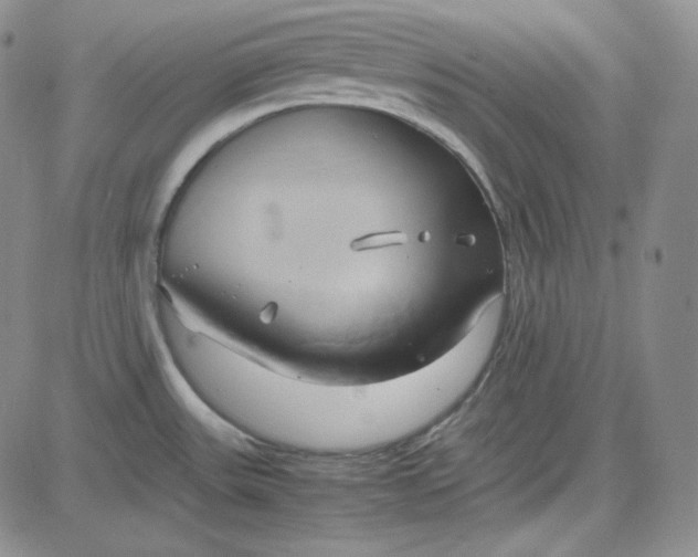 X0000083621531200702260940