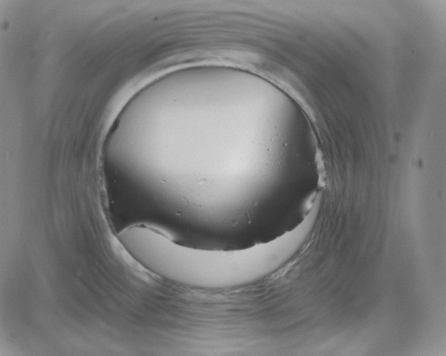 X0000083621532200702260940