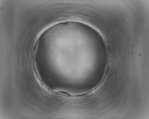 X0000083621534200702260940