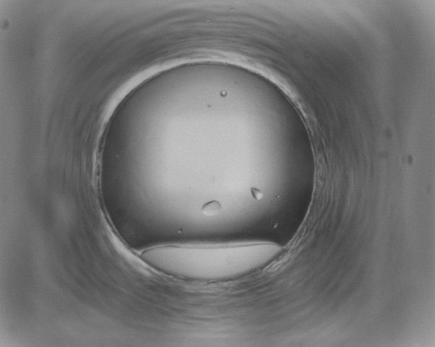 X0000083621535200702260940