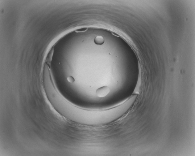 X0000083621536200702260940