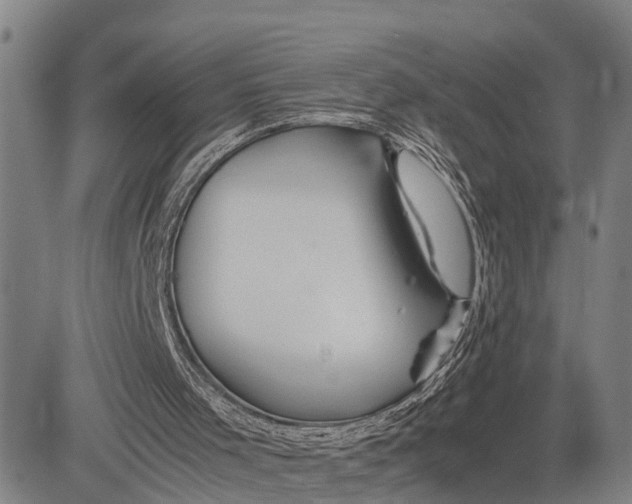 X0000083620001200703051621