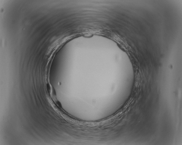 X0000083620002200703051621