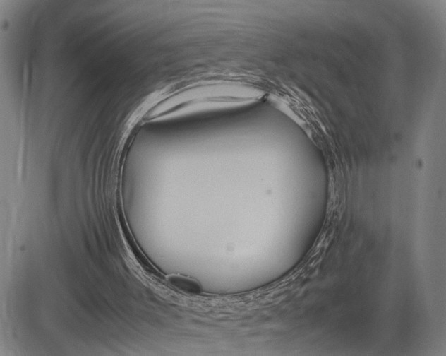 X0000083620003200703051621