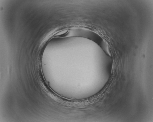 X0000083620005200703051621