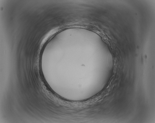 X0000083620006200703051621