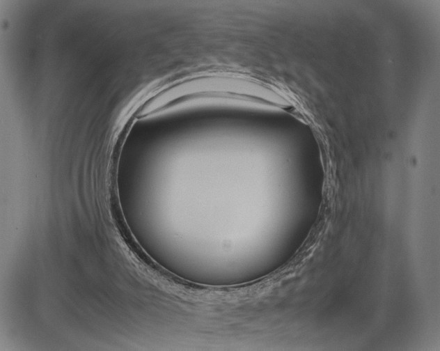 X0000083620007200703051621