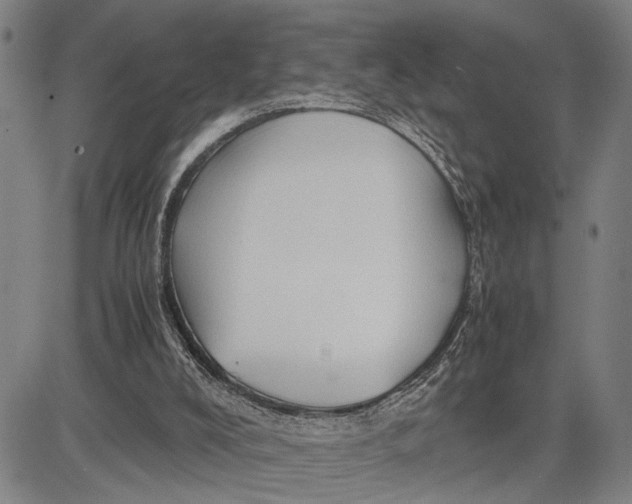 X0000083620008200703051621