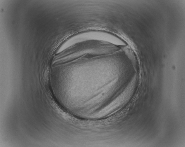 X0000083620009200703051621