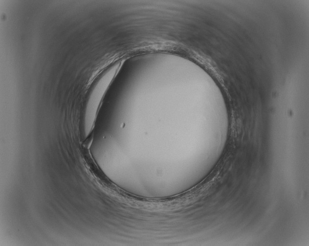 X0000083620010200703051621