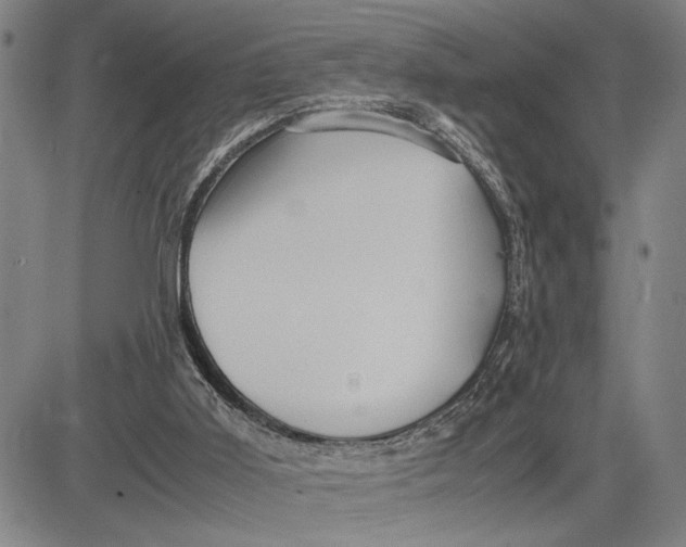 X0000083620011200703051621