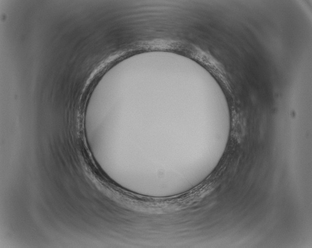 X0000083620012200703051621