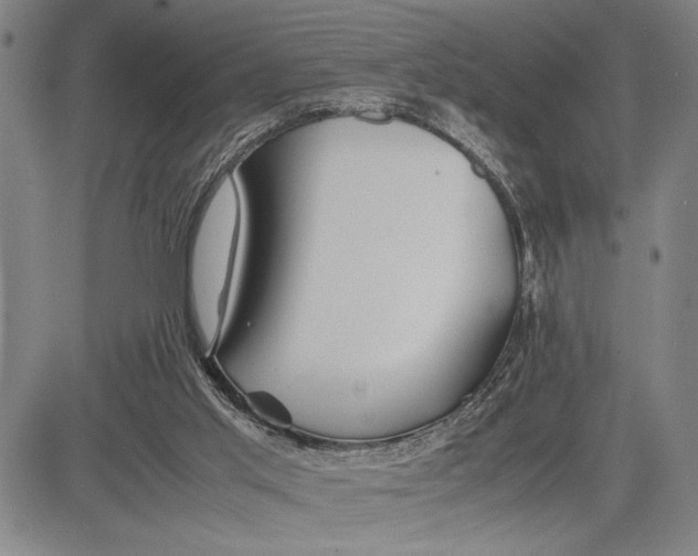 X0000083620013200703051621