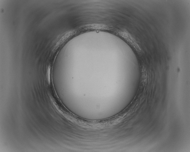 X0000083620014200703051621